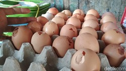 Telur Cangkangnya Retak, Masih Aman Dimakan? Ini Kata Ahli