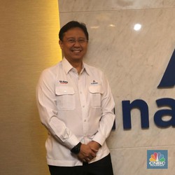 Akuisisi Freeport, Inalum Amankan Pinjaman dari 8 Bank Asing
