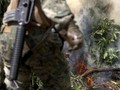 FOTO: Pemusnahan Surga Ganja di Meksiko