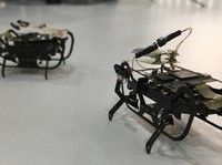 Rolls-Royce Bikin Robot 'Kecoa' Untuk Perbaiki Mesin Pesawat