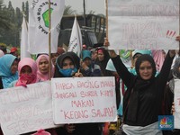 Ada Ibu-Ibu Demo Sambil Bawa Panci di Depan Istana Negara
