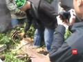 VIDEO: Diduga Jual Celurit, Tiga Pelajar di Bogor Ditangkap