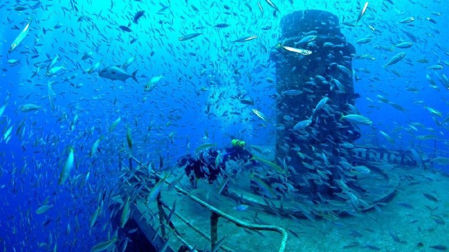 Kapal perang Rusia bernama Dmitrii Donskoi diyakini masih menyimpan 200 ton emas koin.