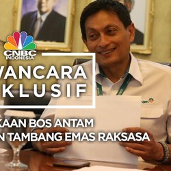Buka-bukaan Bos Antam Soal Freeport dan Tambang Emas Raksasa