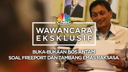 Buka-bukaan Bos Antam Soal Freeport dan Tambang Emas Raksasa