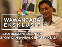 Buka-bukaan Bos Antam Soal Freeport dan Tambang Emas Raksasa