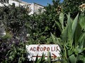 FOTO: Desa Tersembunyi di Akropolis