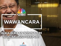 Saksikan! Buka-bukaan Bos Inalum Soal Akuisisi Freeport