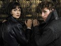 'Fantastic Beasts 2' Berebut Pasar China pada November