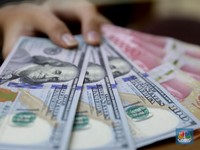 Sambutlah Rupiah, Sang Juara Dunia yang Libas Dolar Cs!