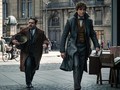 Box Office 'Fantastic Beasts 2' Kalah Tarung di China