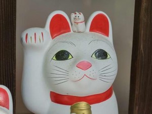 Apakah Memajang Patung Kucing Bisa Membawa Rezeki? Ini Jawabannya