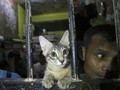 FOTO: Sidak Lapas Buntut OTT KPK