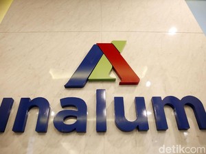 Inalum Tunjuk Direktur Baru, Ini Sosoknya