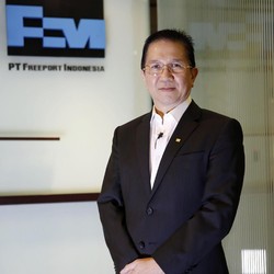 Terpukul Corona, Freeport Minta Tunda Pembangunan Smelter
