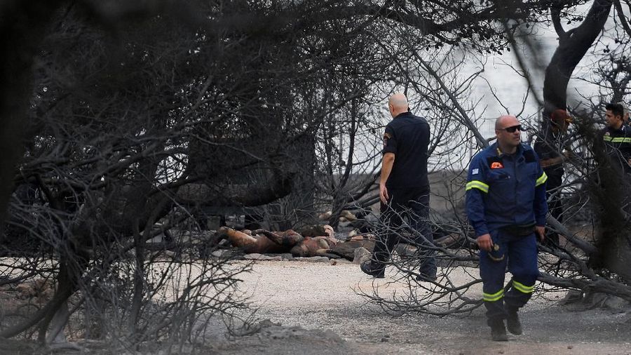 Sedikitnya 24 orang tewas dan 150 lainnya terluka dalam sebuah kebakaran hutan yang merambat ke desa-desa di Athena, Yunani.