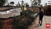 Petugas sedang menyirami taman dan rumput yang masih tumbuh pendek di sekitar arena bermain. Hal lain yang membuat Taman Kalijodo ini kian gersang adalah keberadaan pohon yang belum tumbuh maksimal. (CNN Indonesia/Andry Novelino)