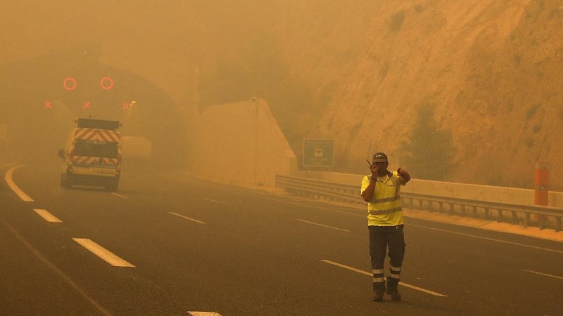 Sedikitnya 24 orang tewas dan 150 lainnya terluka dalam sebuah kebakaran hutan yang merambat ke desa-desa di Athena, Yunani.