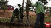 Petugas sedang memperbaiki tanaman yang mati di sekitaran area Taman Kalijodo yang diresmikan Ahok pada yang menjabat Gubernur DKI Jakarta pada 2017 silam. (CNN Indonesia/Andry Novelino)