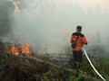 VIDEO: Ribuan Hektar Terbakar, Kalteng Siaga Karhutla