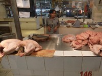Saat Ini, Ayam Jadi Barang Langka di Indonesia