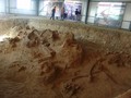 Menggali Surga Dinosaurus di Afrika Selatan