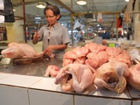Survei BI: Juli Terjadi Inflasi Hingga 0,24% Karena Ayam