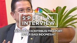 Besarkah Kontribusi Freeport untuk Indonesia?