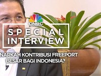 Besarkah Kontribusi Freeport untuk Indonesia?