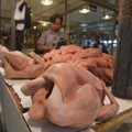 Ayam Potong Wajib Bersertifikat Halal, Mendag Zulhas Bongkar Alasannya
