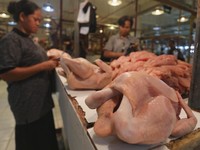Ayam Potong Wajib Bersertifikat Halal, Mendag Zulhas Bongkar Alasannya