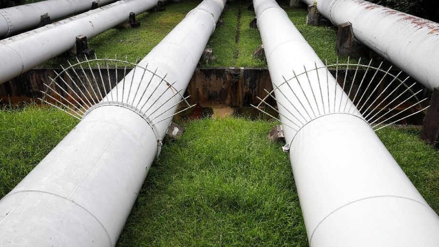 A resident passes pipes carrying water from Malaysia to Singapore near a public housing estate in Singapore July 19, 2018. Picture taken July 19, 2018. REUTERS/Edgar Su