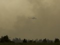 20 Hari Usai Jatuh di Papua, Heli TNI MI-17 Belum Ditemukan