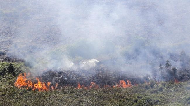 KLHK Lahan Gambut di  Sumatera dan Kalimantan  Masih Terbakar