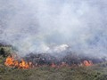 KLHK: Lahan Gambut di Sumatera dan Kalimantan Masih Terbakar