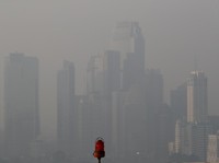 Pajak Karbon Berlaku Tahun Depan, Ini Besaran Tarifnya!