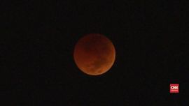 VIDEO: Gerhana Bulan Total 'Ditemani' Mars dan Venus