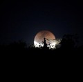 Gerhana Bulan Penumbra Terjadi Hari Ini, Begini Jadwalnya!
