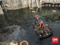Pemprov DKI Siapkan Kerangka Strategi Atasi Sungai Tercemar