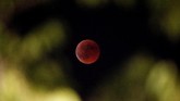 Gerhana bulan terlihat samar dari Marseille, Prancis. Saat