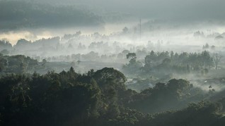 Suhu Dingin di Bandung Mencapai 16 Derajat Celsius