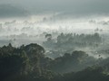 Suhu Dingin di Bandung Mencapai 16 Derajat Celsius