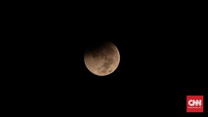 Sempat Hidup, Bibit Tanaman yang Dibawa ke Bulan Mati