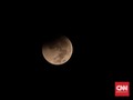 Sempat Hidup, Bibit Tanaman yang Dibawa ke Bulan Mati