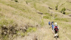 Ratusan Pendaki Panik saat Rinjani Bergetar Diguncang Gempa