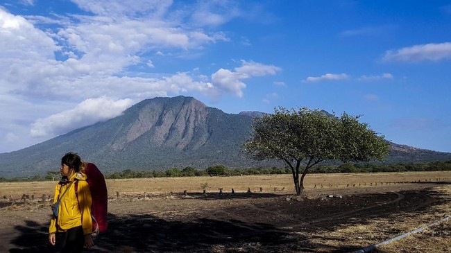 Foto Baluran Nuansa Afrika Di Timur Jawa