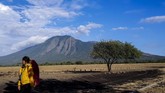 Wisatawan berjalan dengan latar belakang Gunung Baluran. Taman Nasional Baluran bisa dijangkau dari Situbondo atau Banyuwangi, Jawa Timur. Di taman nasional ini pemandangan sabana bak di Afrika sangat terasa.