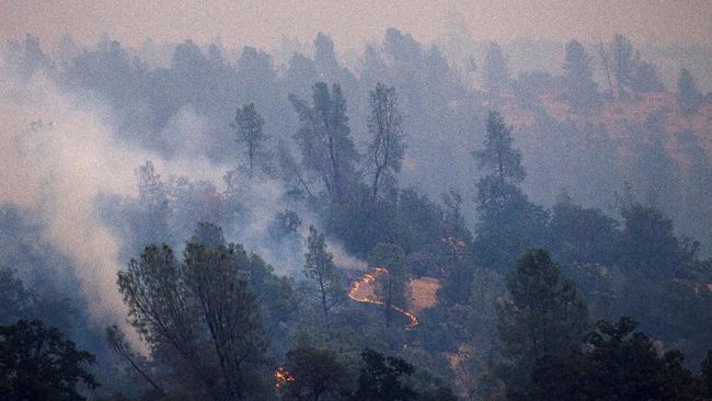 Kebakaran di California Meluas, Enam Orang Tewas
