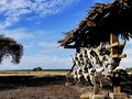 Objek Wisata Alam Favorit di Situbondo