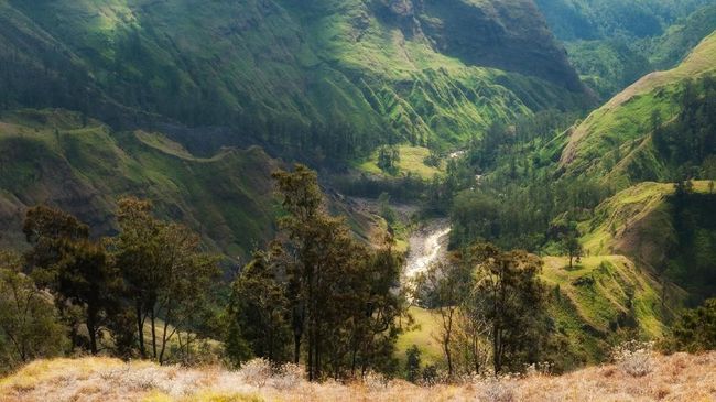 Torean, Jalur Pendakian Menantang di Punggung Rinjani